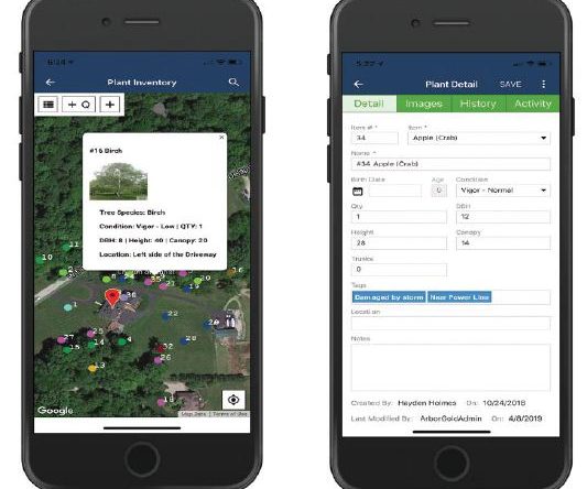 tree-inventory software