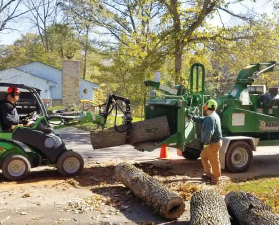 tree crew members on job site