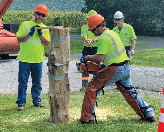 tree care workers training