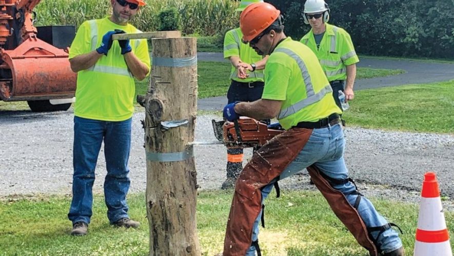 tree care workers training