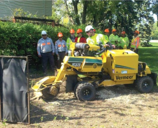 tree crew training