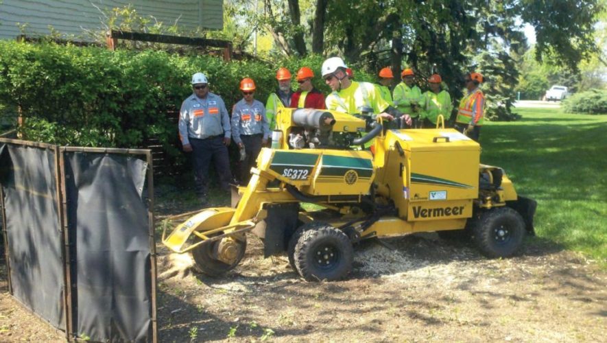 tree crew training