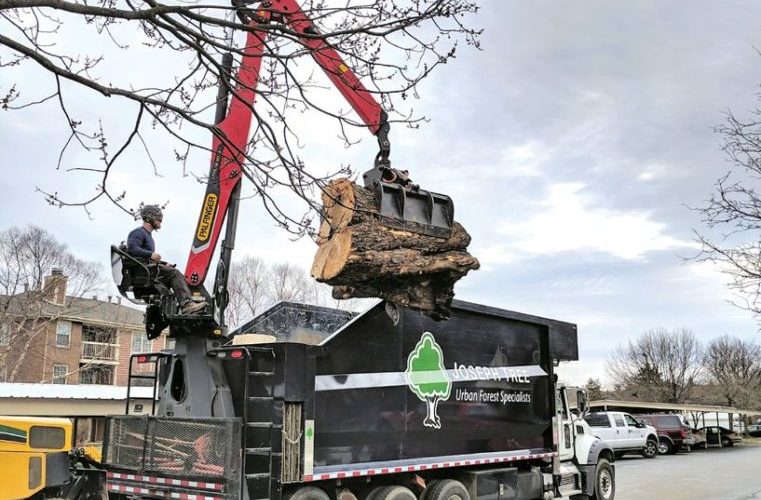 tree care worker loading truck