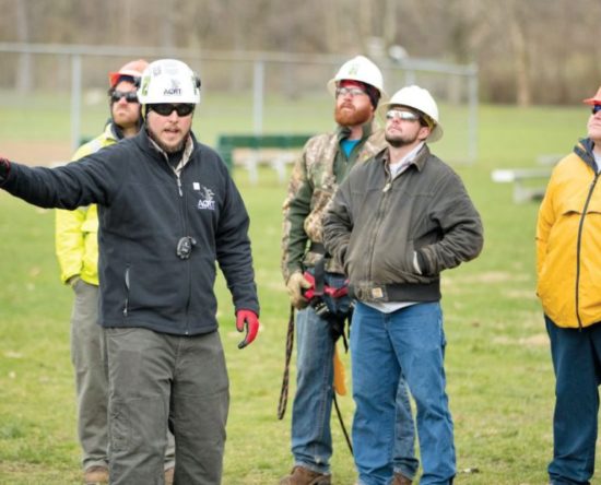 tree care team crew leader