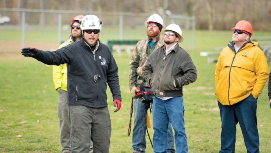 tree care team crew leader