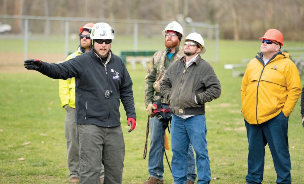 Identifying Your Next Crew Leader Tree Care Industry Magazine