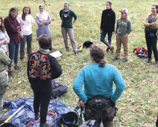 group instruction of tree climbing