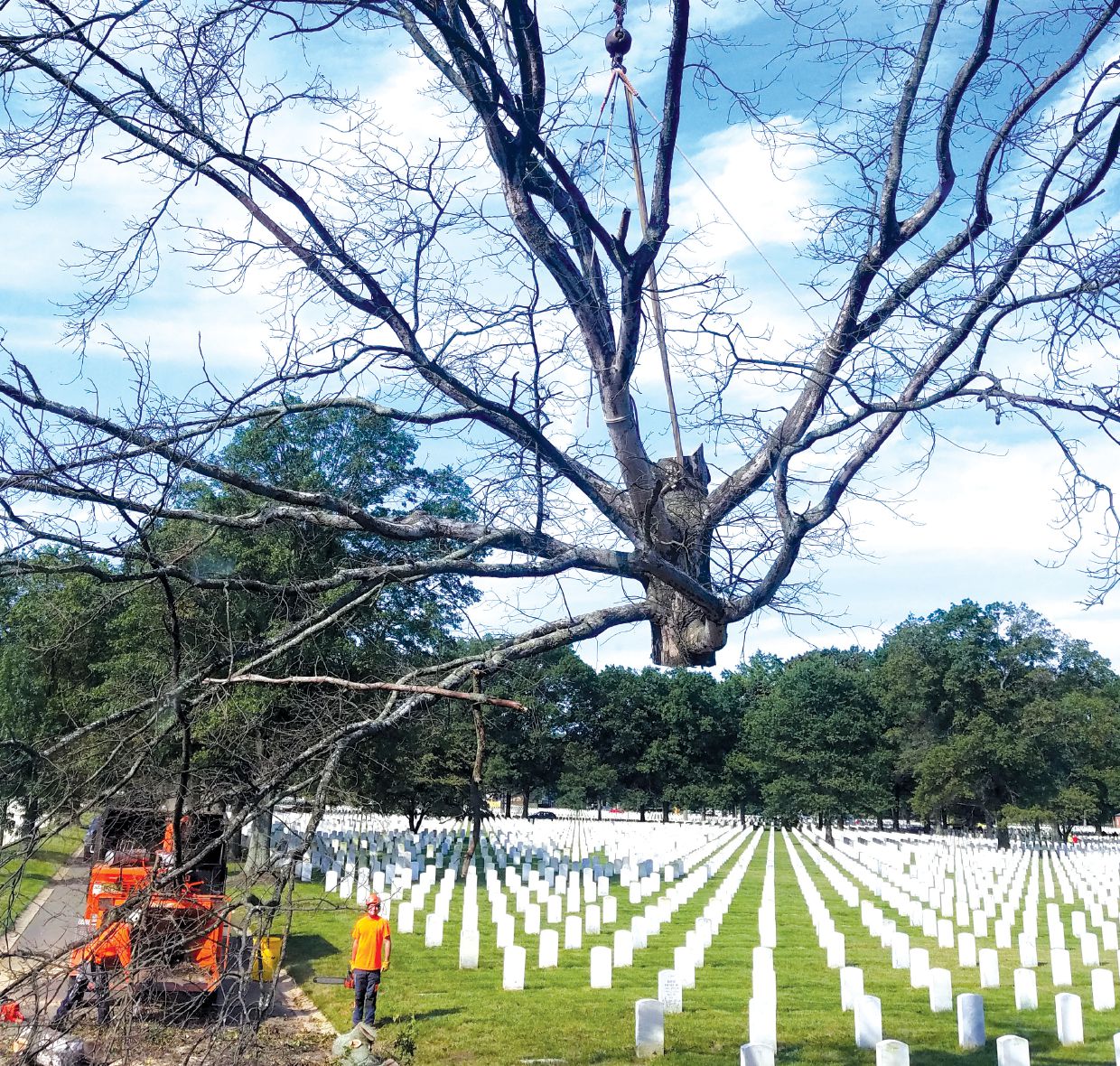 Crane Crew Safety Culture - Tree Care Industry Magazine
