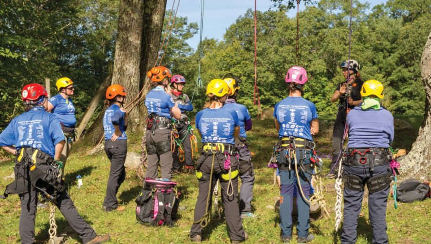 women tree care workers