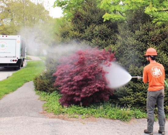 tree care worker spraying plants