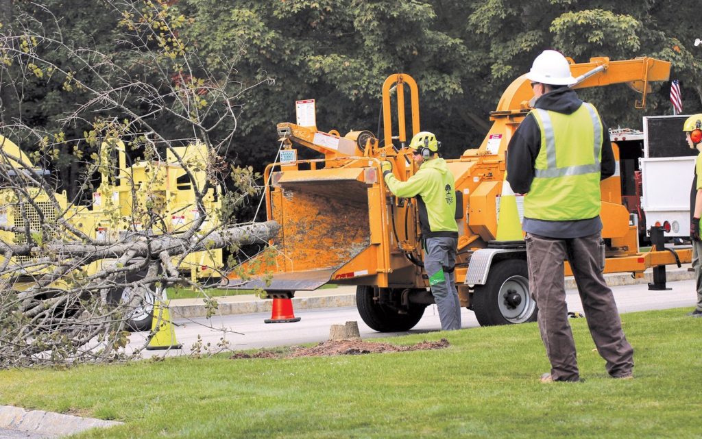 Hazards With Objects Going Into Chippers Tree Care
