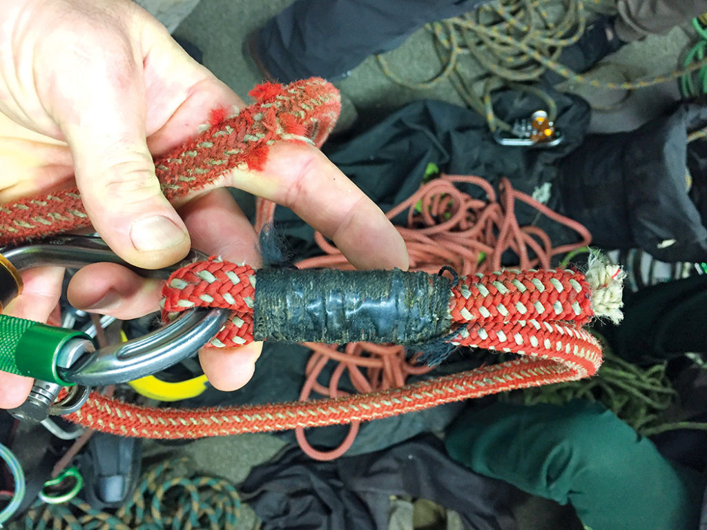 Climbing Gear A Growing Risk To Tree Companies Tree Care Industry Magazine