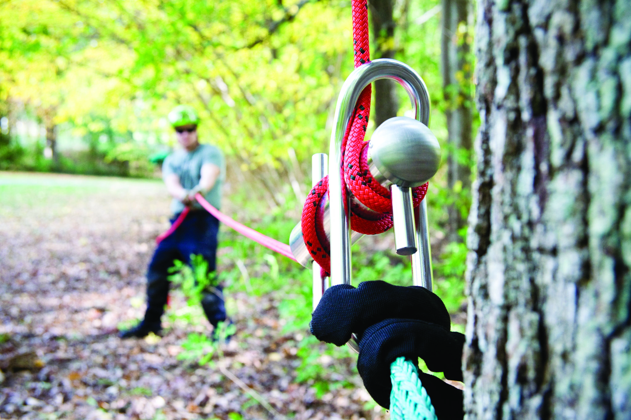 Ins & Outs, Ups & Downs of Rigging Rope Tree Care Industry Magazine