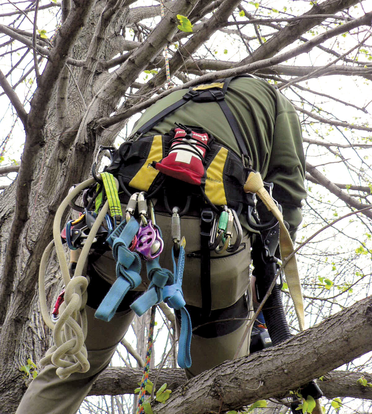 What Is in Your First-Aid Kit? - Tree Care Industry Magazine