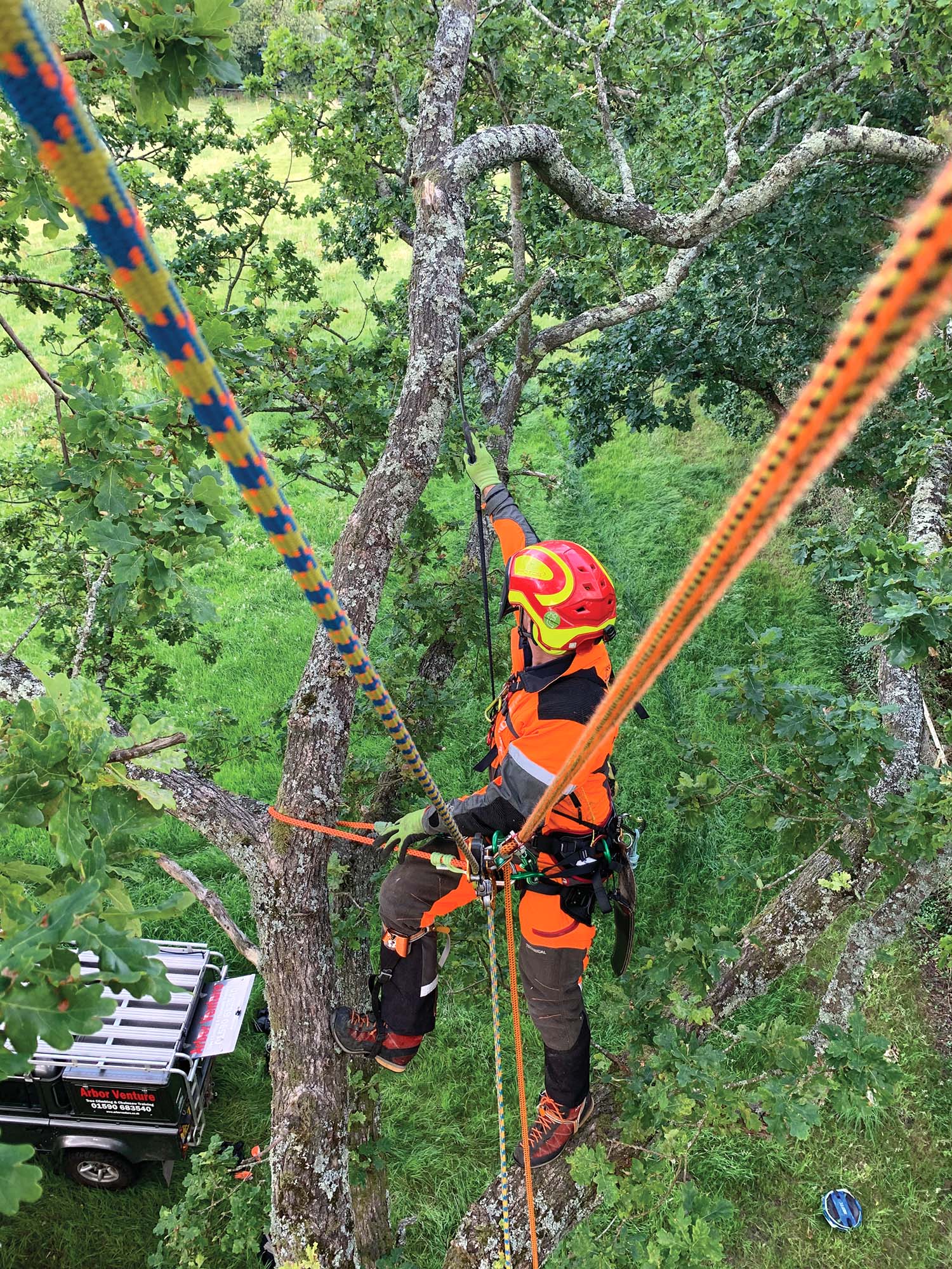 Climbing Rope Selection It’s Your Life on the Line Tree Care