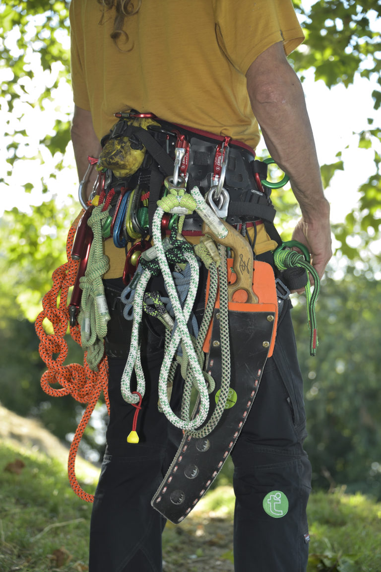 What To Look Out For In Climbing Harnesses Tree Care Industry Magazine