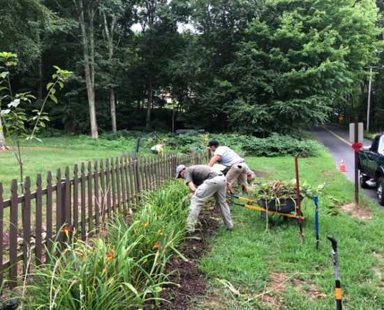 GreenCare for Troops project - working
