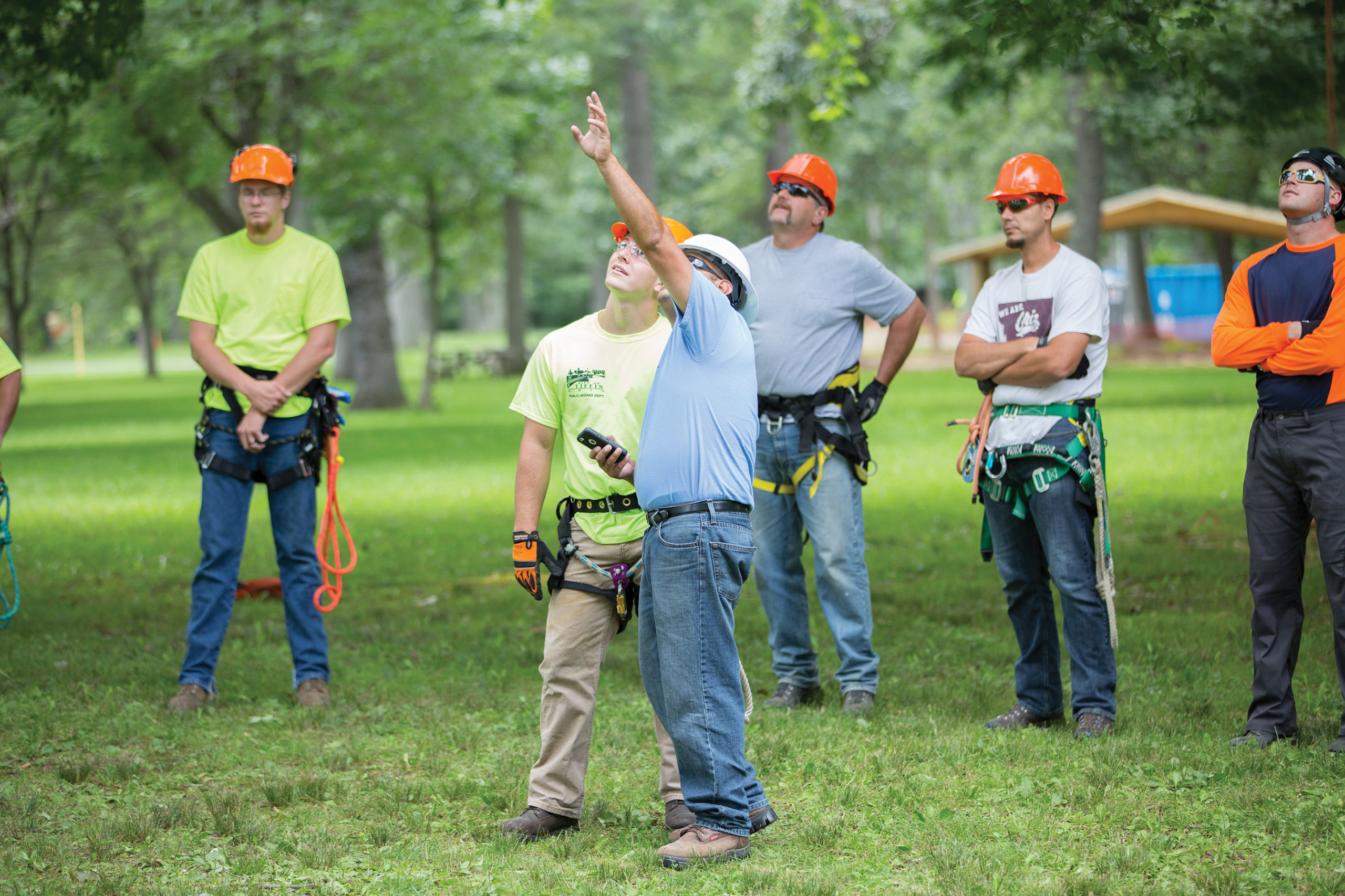 Exploring the Principles of Rigging - Tree Care Industry Magazine