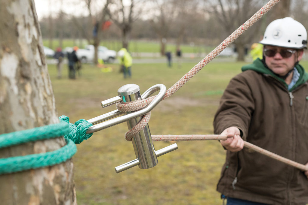 Exploring the Principles of Rigging - Training and Workshops for Arborists