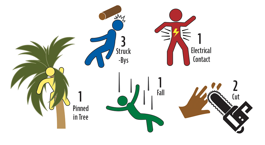 Accident Briefs for May 2021 - Tree Care Industry Magazine