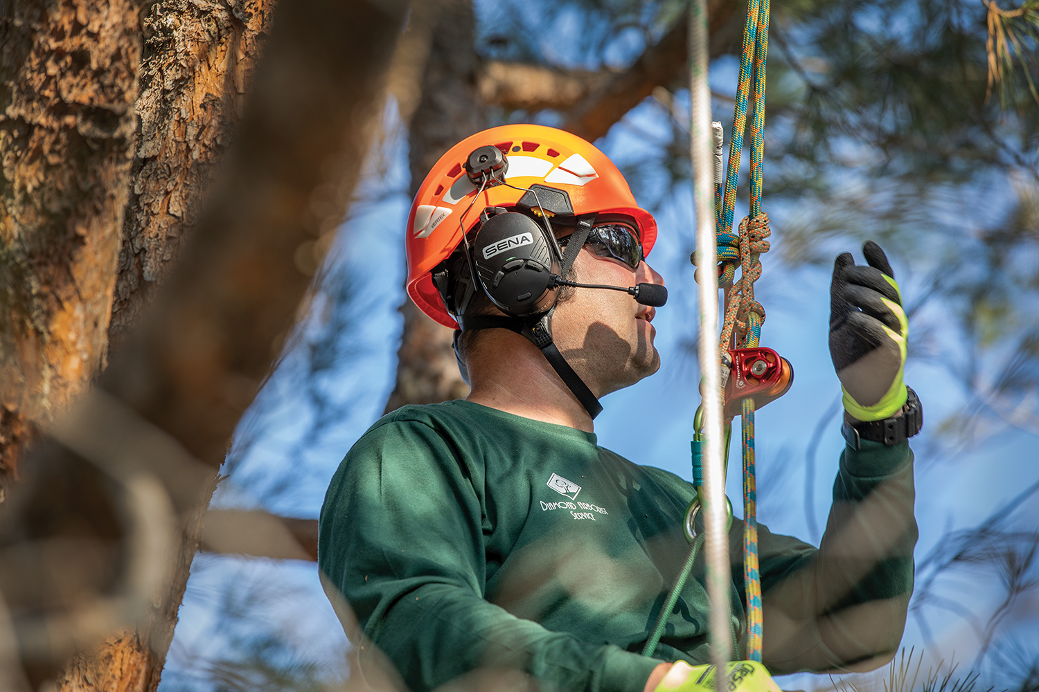 Wireless Headsets What’s All the Yelling About? Tree Care Industry