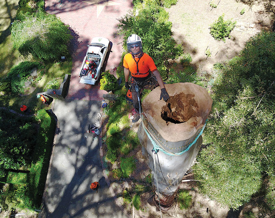 Subcontract Tree Climber Tips for Using Contract Workers - Tree Care Industry Magazine