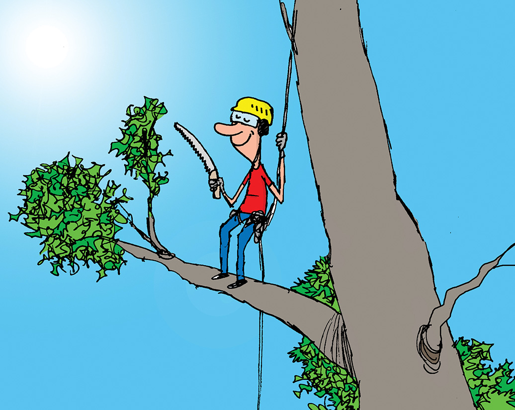 I Am a Climber - Tree Care Industry Magazine