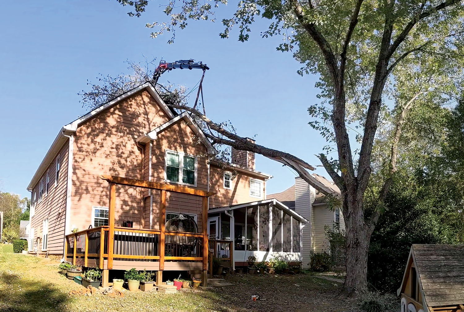 Tree Coverage House Misconceptions About Property-Insurance Coverage for Trees on Houses ...