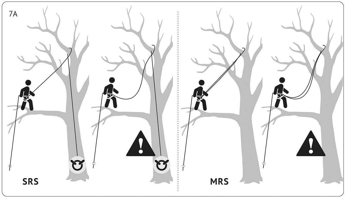 Consider All the Factors in a Climber's Fall - Tree Care Industry Magazine