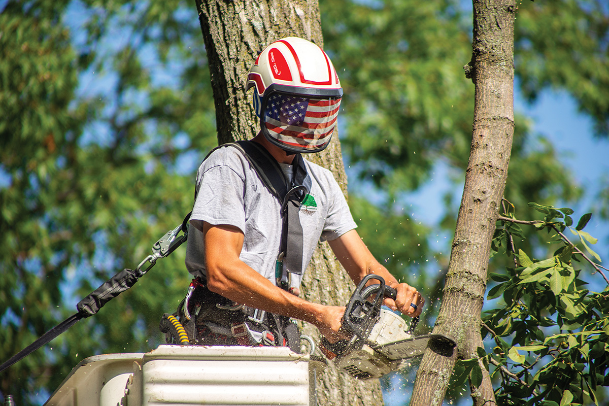 Tree Worker Safety Update By the Numbers: Another Us vs. Them - Tree Care  Industry Magazine