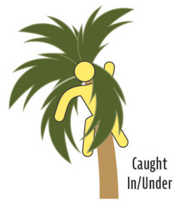 Worker injured while stranded in tree