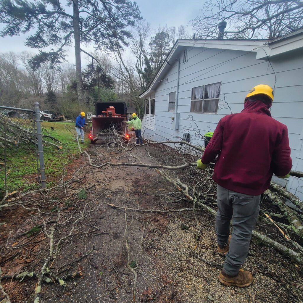 Arborists use chipper to clean up storm debris.
