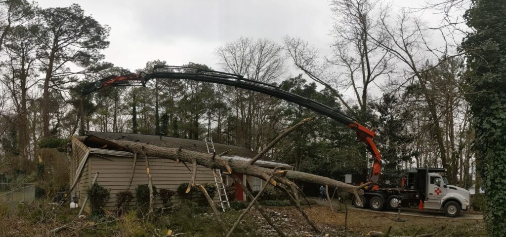A crane is used to lift a fallen tree off of a house.