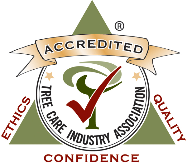 TCIA Recognizes Top20 Accredited Tree Care Companies of 2022