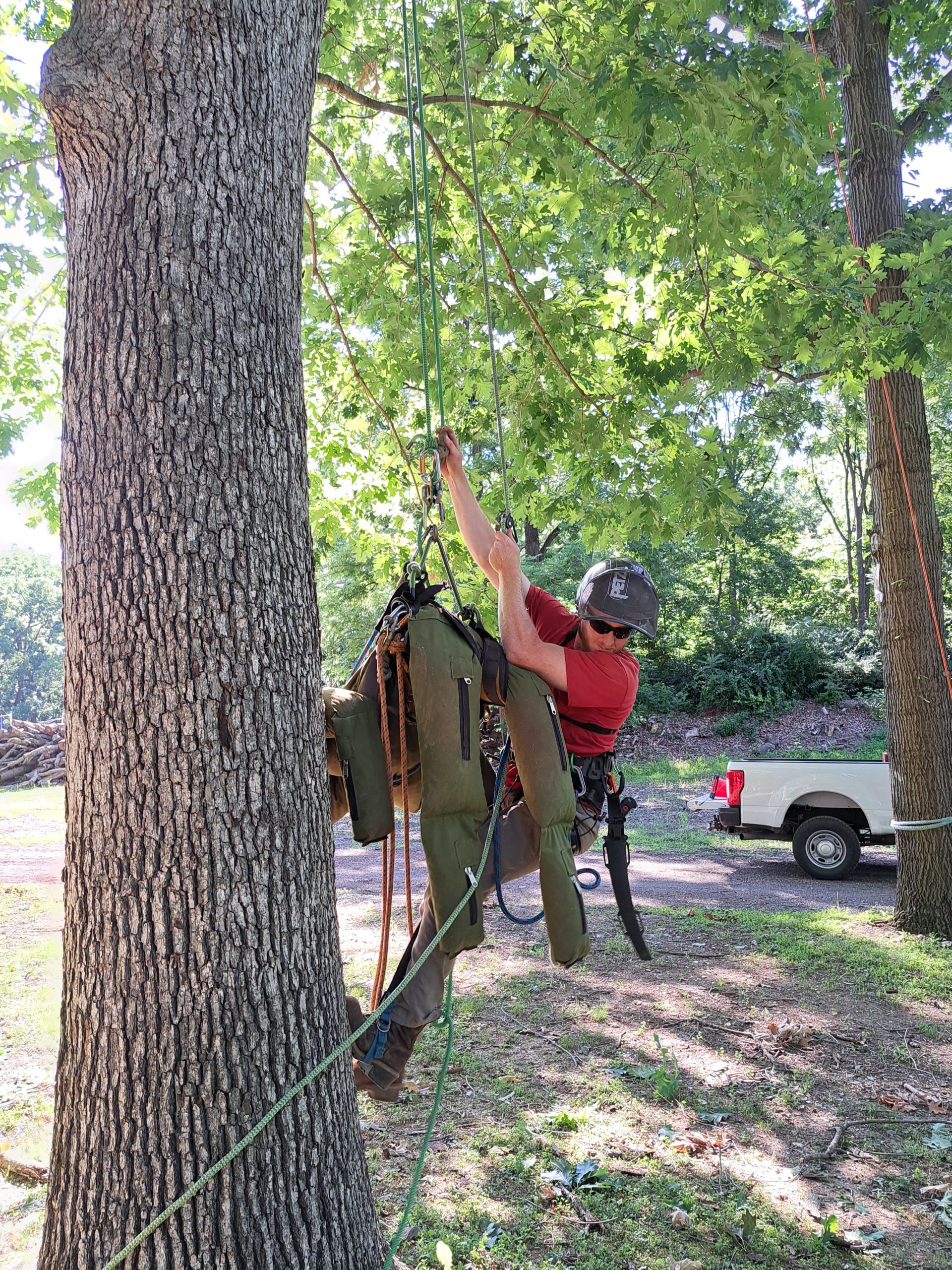 Tree Climbing, Aerial Rescue and Use of a Chainsaw from a Rope and Harness  Refresher (TG1 Update 2020) - VMT