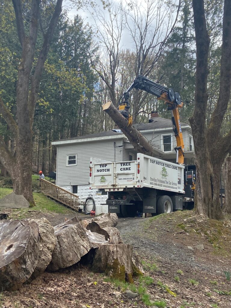 white dump truck with a grapple loading a tree trunk into the truck bed from the roof of a grey house.