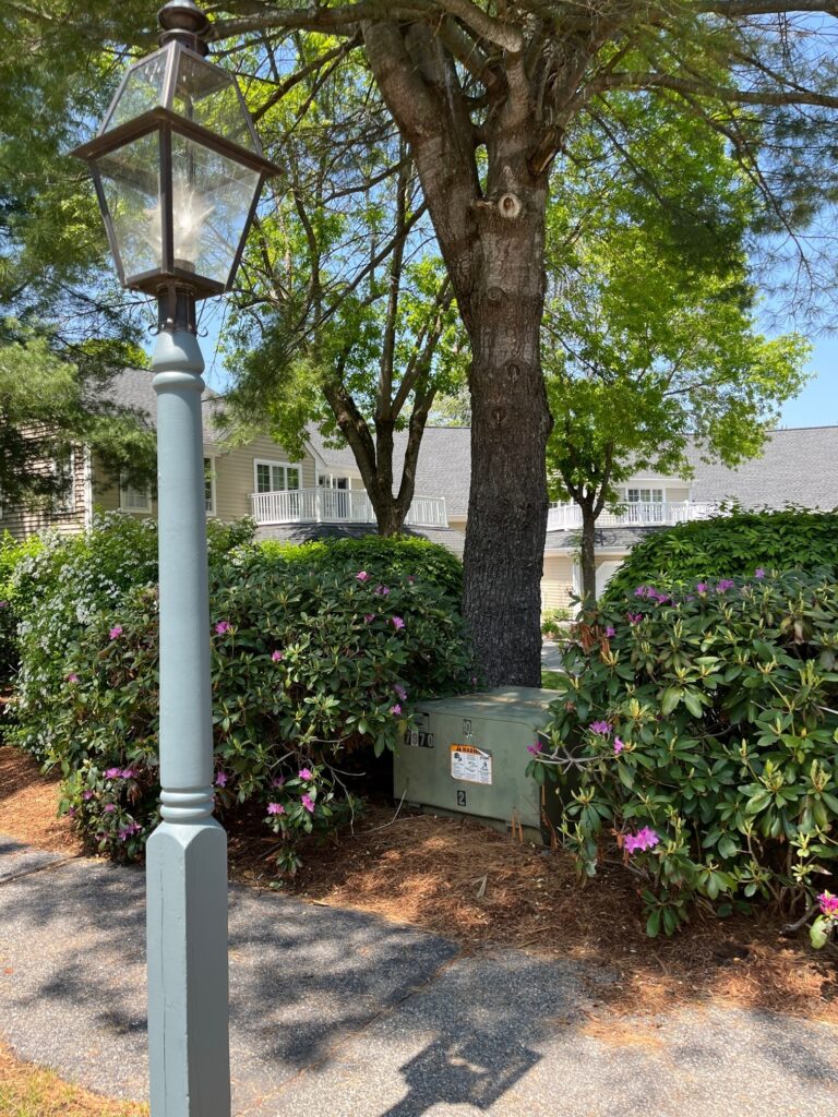 Lamp post next to an electrical box.