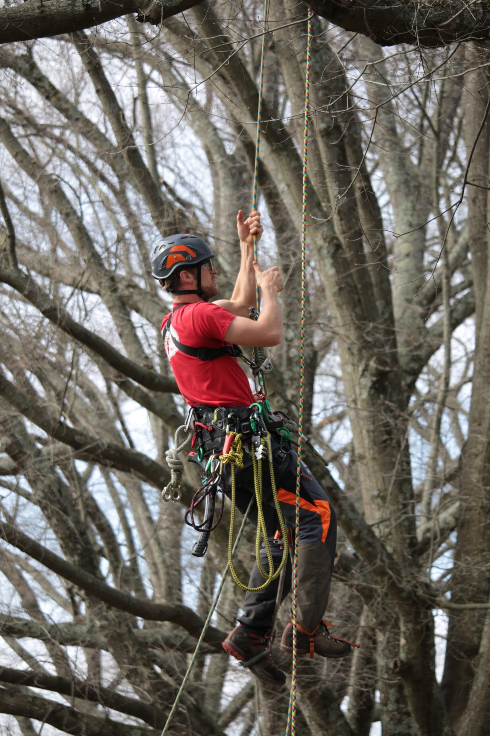 Founder of Truetimber Academy Finds Value in CTSP