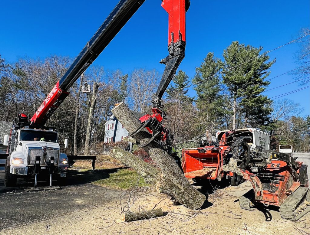 Red Grapple on back of a white truck lifting a large tree trunk. example of mechanization.