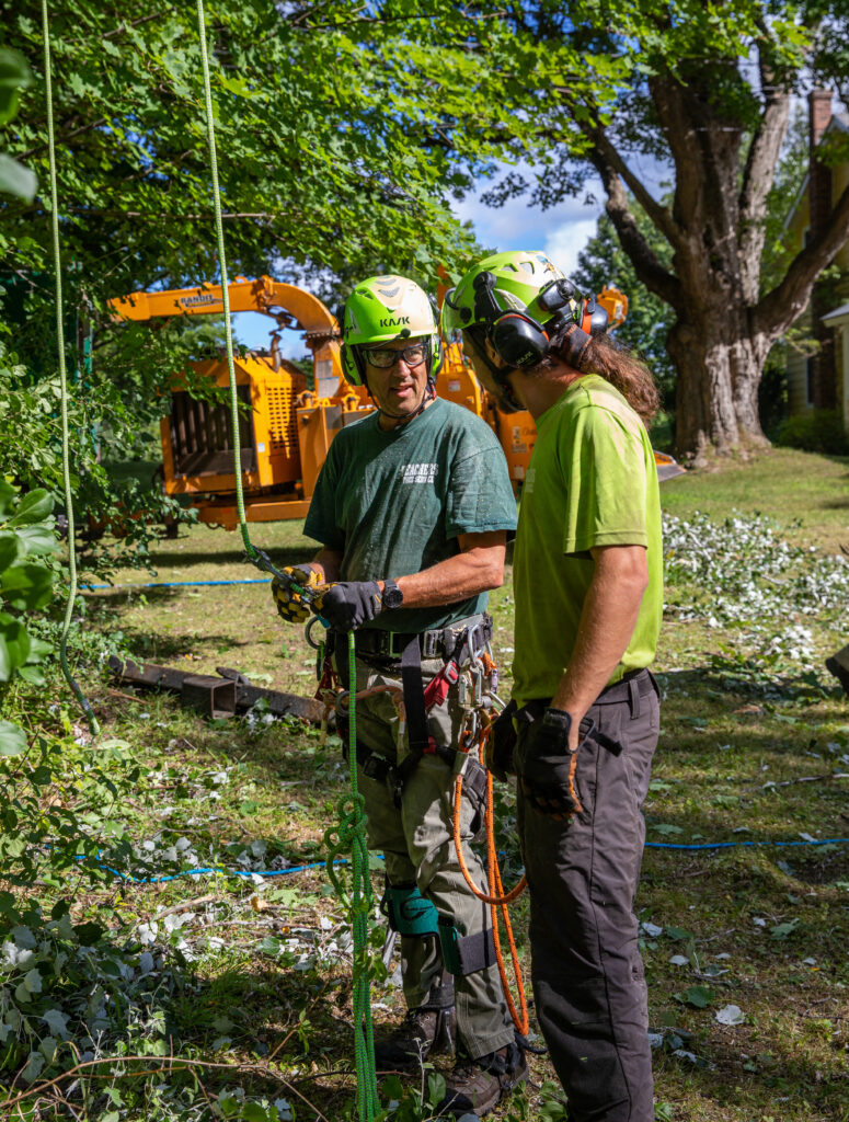 Two men in green shirts and green helmets working with a green rope with an orange chipper behind them.