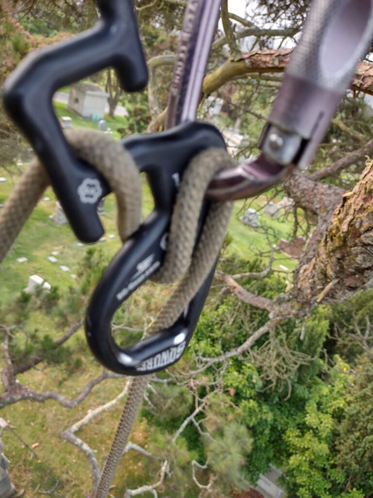 Close up view of rope bending in a device in a tree.
