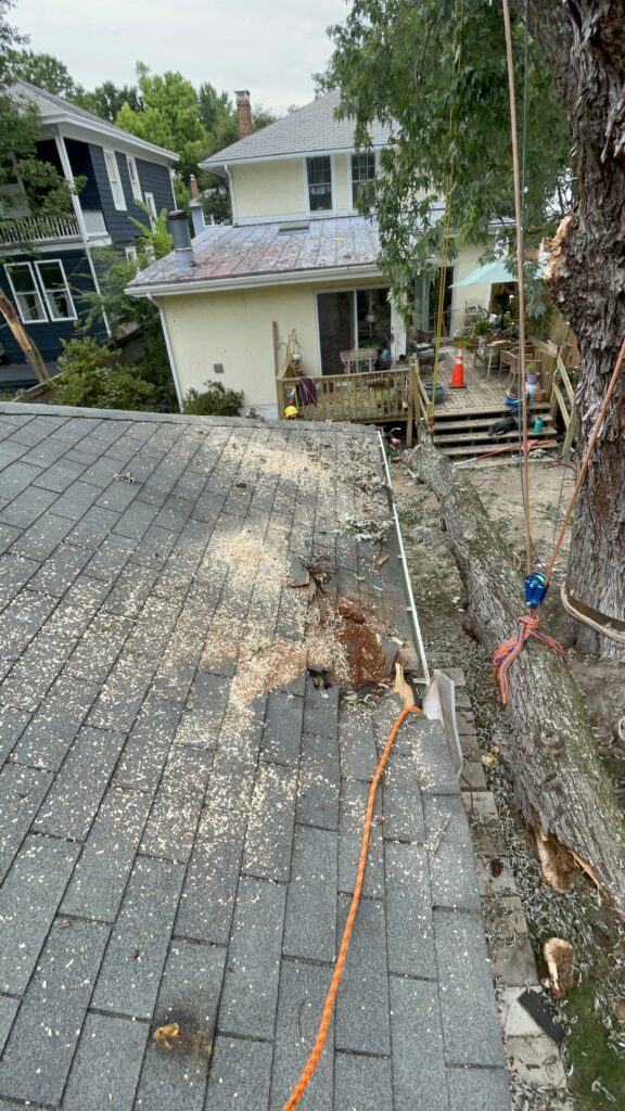 Aerial view of a roof with wood debris and a yellow house. A tree with orange rope is to the right of the roof being lowered.