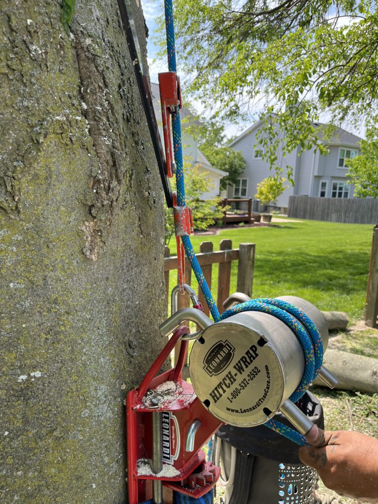 silver and red equipment on tree with words hitch wrap and the hand of a worker holding a blue rope