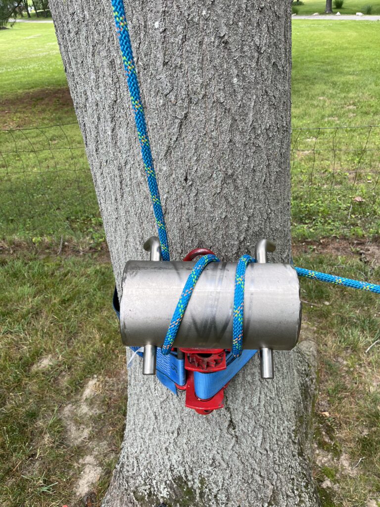 Silver and red bollard attached to a tree trunk with a blue rope