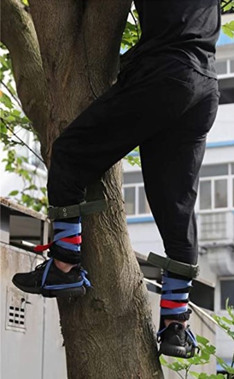 Bottom half of a person climbing a tree wearing black pants with wraps on their ankles and climbing spikes.