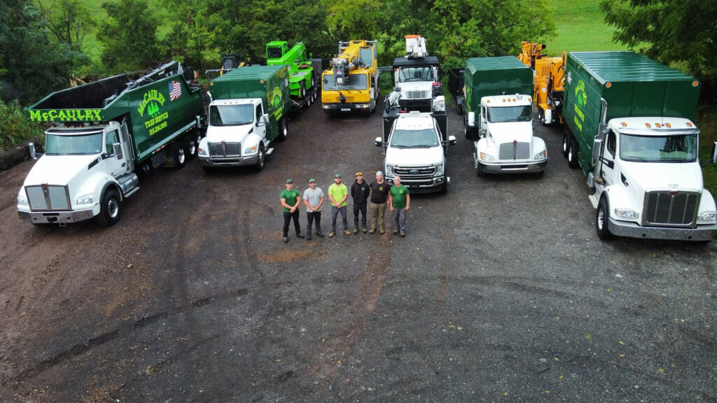 overhead shot of six people and many white trucks with green backs