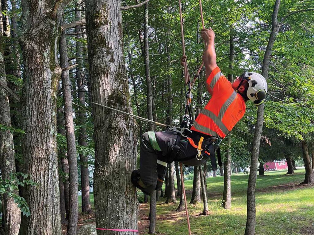 Tree climbing, body-thrusting technique.