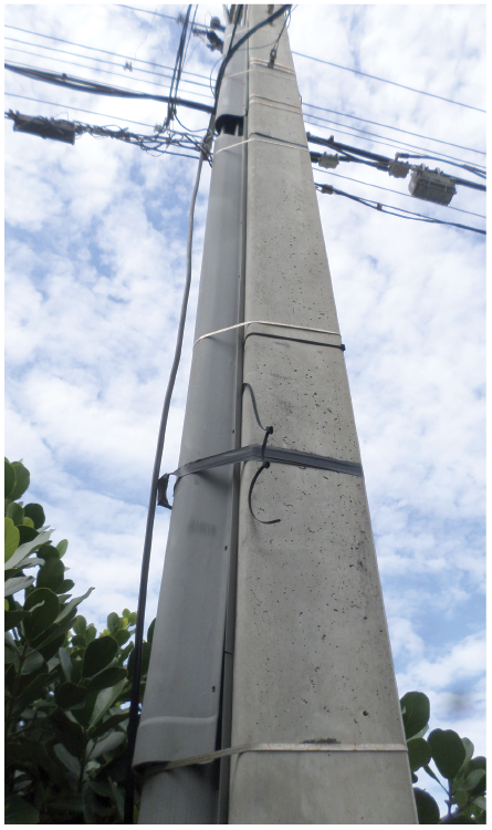 Concrete distribution pole.