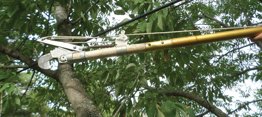 Indirect contact through a conductive pole tool is one of the most common electric-shock incidents.