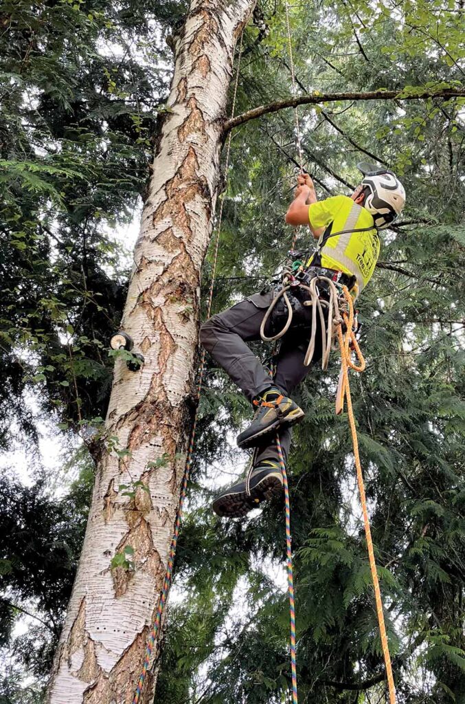 Karsten Foerster ascends an access line. A starting point for when to keep an access line installed may be any climbing operation above 50 feet. Risks and Hazards. All photos courtesy of Karsten Foerster and Craig Bachmann.
